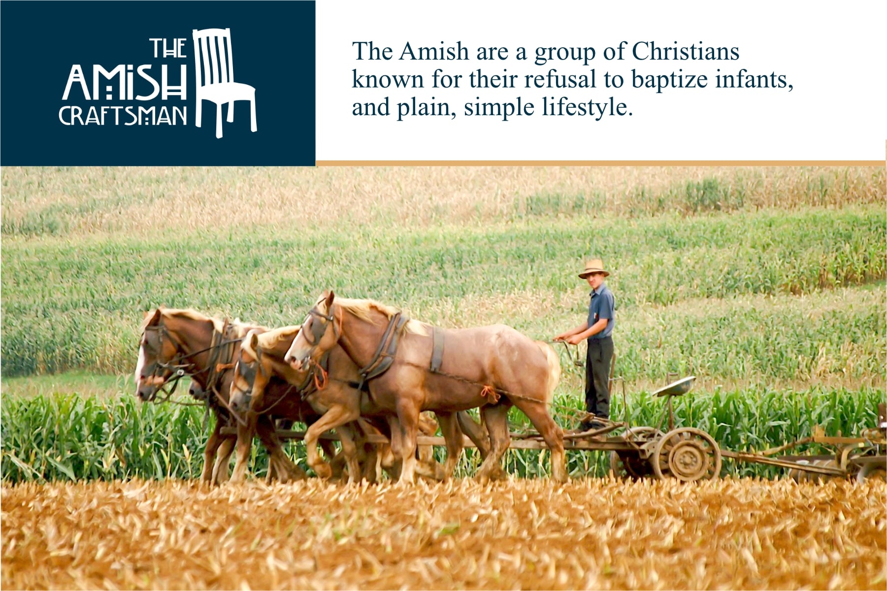 The Amish are known for their plain lifestyle